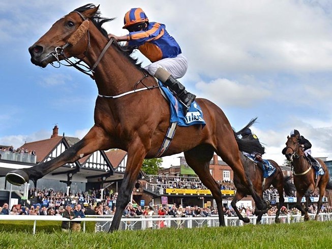 Đà Nẵng chơi lớn: Làm trường đua ngựa, truyền hình vệ tinh ra toàn cầu