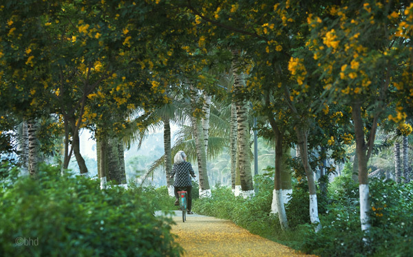 Chất lượng không khí tại Ecopark sánh ngang châu Âu