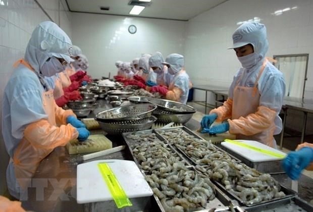 Zero-percent tariffs prove Vietnamese shrimp exporters’ transparency