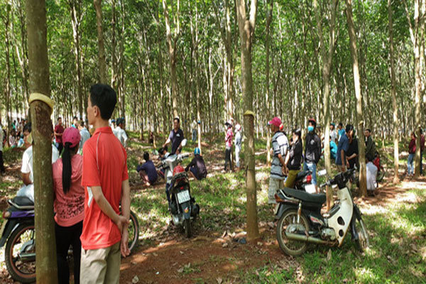 Bà Rịa - Vũng Tàu: Nam thanh niên nói đi làm, sau đó tử vong