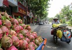 Fruit export challenges await with China's tighter border trade