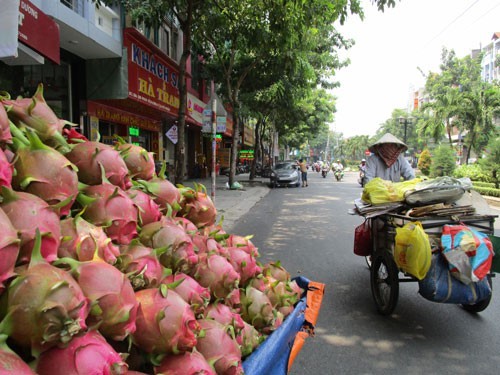 Fruit export challenges await with China's tighter border trade