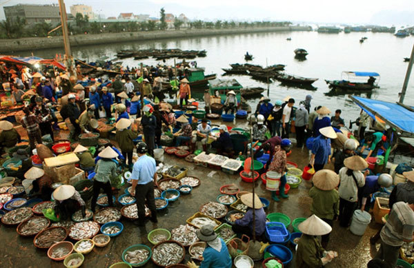 Fishy delights in Quang Ninh