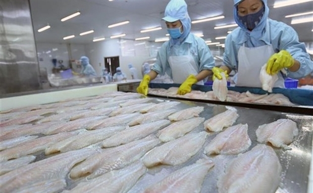 Shrimp escape anti-dumping duty as catfish exporters await tariff decision
