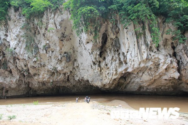  Bình luận Bí ẩn 'Hang Ma' nơi đàn cá đen sì, to như cột nhà, lừ đừ trong hang Ca-hang-ma-2