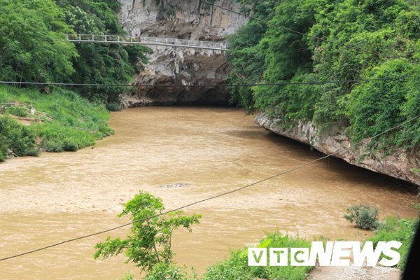  Bình luận Bí ẩn 'Hang Ma' nơi đàn cá đen sì, to như cột nhà, lừ đừ trong hang Ca-hang-ma-3