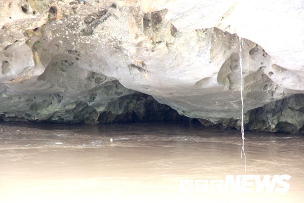  Bình luận Bí ẩn 'Hang Ma' nơi đàn cá đen sì, to như cột nhà, lừ đừ trong hang Ca-hang-ma-4