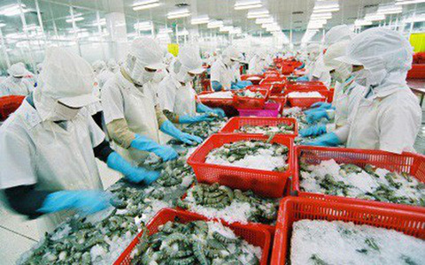 Vietnamese shrimp exporters to US to enjoy zero tariffs