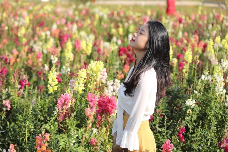 Fansipan flower valley enchants visitors