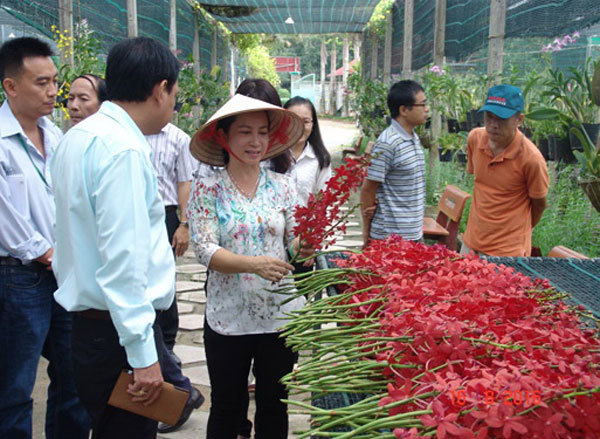 Rural districts in HCM City to develop agri-tourism