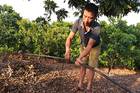 Độc đáo chăm cây bằng điện thoại, đi du lịch xa vẫn như... ở nhàicon