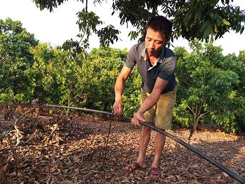 Độc đáo chăm cây bằng điện thoại, đi du lịch xa vẫn như... ở nhà