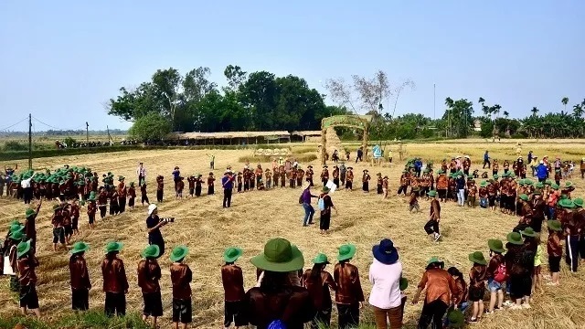 Harvest time in Vietnam's countryside