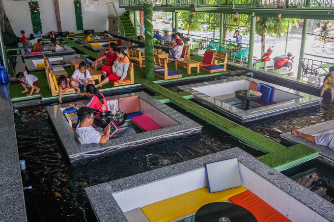 Coffee shop aquarium makes a splash in Can Tho city