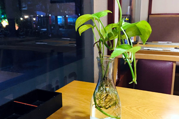 Phát hiện bí mật của mẹ chồng trong quán cà phê vắng