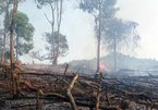 Provinces in Vietnam asked to be on full alert for possible forest fires