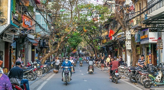 Hanoi to relocate trees for road expansion