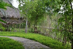 Vợ chồng bất hòa vì 'người dưng' xông thẳng lên giường ngủ