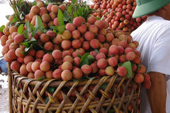 'Mù mờ' thông tin về dán tem truy xuất trái cây?