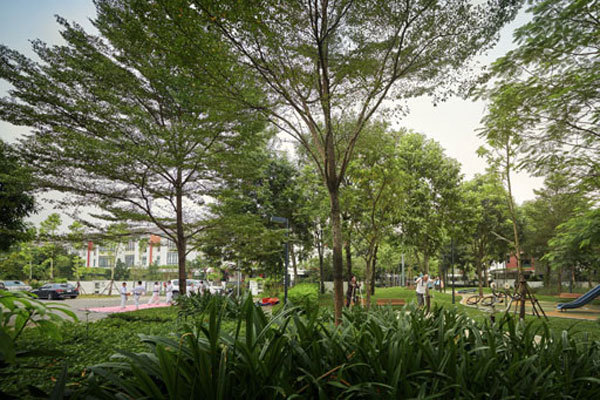 Giải mã nhu cầu tìm không gian xanh trong nội đô Hà Nội