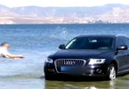 Mang Audi xuống hồ để rửa, tài xế bị phạt tiền nặng