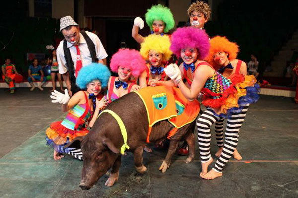Circus acts to brighten up the summer