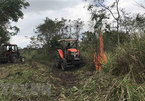 Heatwave destroys dozens of hectares of forest