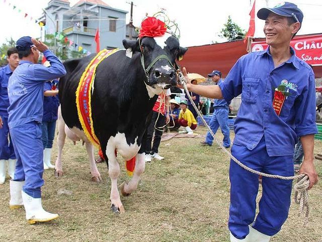 'Bữa tiệc' thâu tóm còn dang dở của đại gia