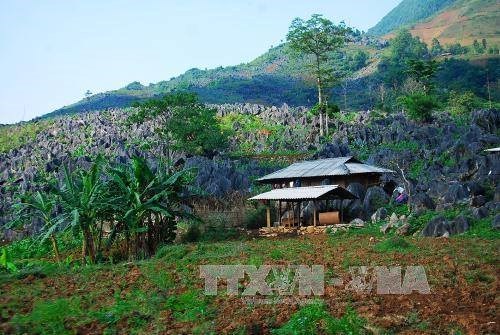 Tua Chua Karst Plateau