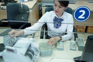 Exchange Rate In Vietnam Forecast To Be Stable In Exchange Rate In