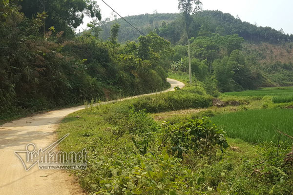 Thầy giáo làm nữ sinh lớp 8 mang thai: Bí mật từ chiếc điện thoại