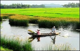 Chim Vịt kêu chiều