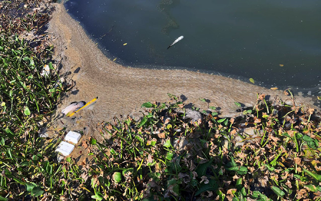 Discharged waste continues to mar Han River