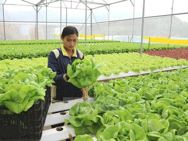 Vietnamese agricultural products given opportunity to enter Europe