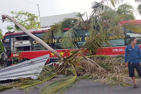 'Chuyên cơ mặt đất' nát đầu sau cú tông hàng dừa