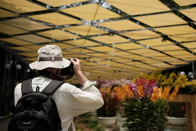 Photo essay: HCM City Orchid Festival officially kicks off