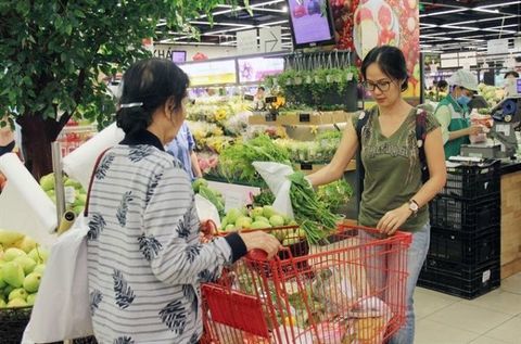 Outlook for Vietnam’s economy remains sound in 2019: IMF