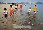 Rubbish-covered beach in Ha Long crowded on holiday