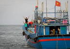 Ha Tinh fishermen earn big from shellfish