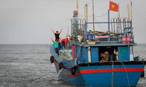 Ha Tinh fishermen earn big from shellfish