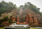 'Cây may mắn' mọc trên tượng Phật thu về gần 7 tỷ đồng