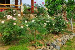 Đi chơi quên nấu cơm, tôi bị chồng tát 'nổ đom đóm mắt'