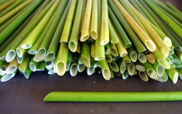 Vietnamese make next-generation straws, friendly to environment