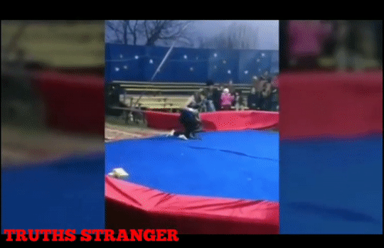 Diễn viên xiếc bị trăn siết cổ, nghi chết tại chỗ