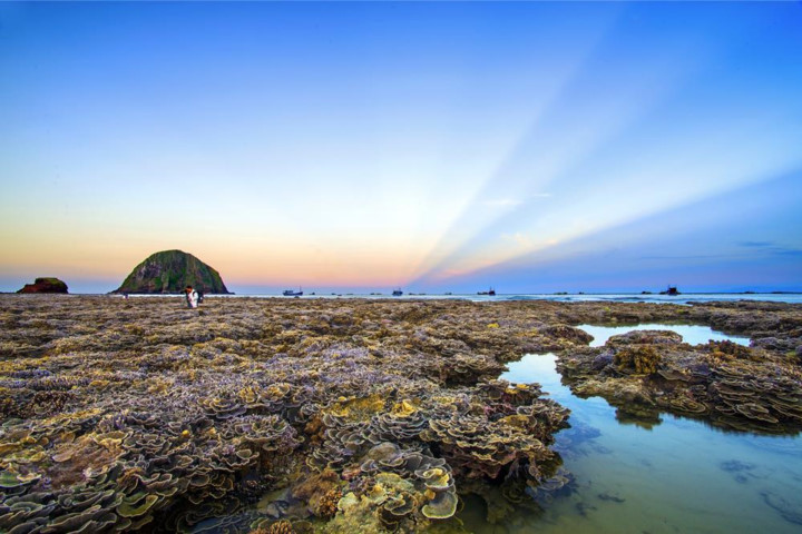 The stunning coral features of Hon Yen island