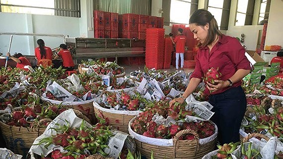 China tightens veggie and fruit import requirements for Vietnam