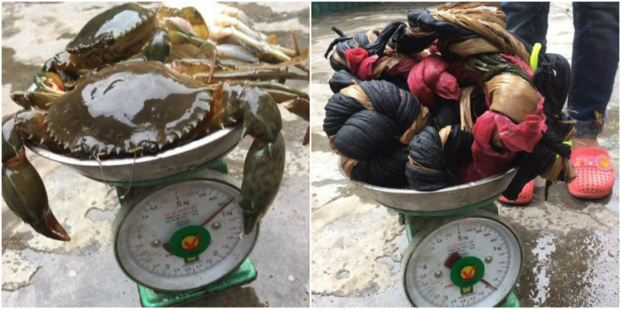 Mua 2,5kg cua 'khuyến mãi' 1,9 kg dây vải: Thanh niên khóc ròng