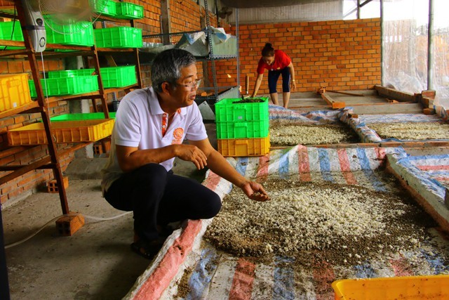 Đồng Tháp lạ nhất Việt Nam: Bán trứng ruồi 15 triệu/kg