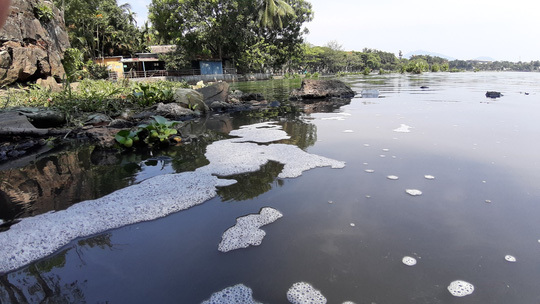 Da Nang park polluted by wastewater