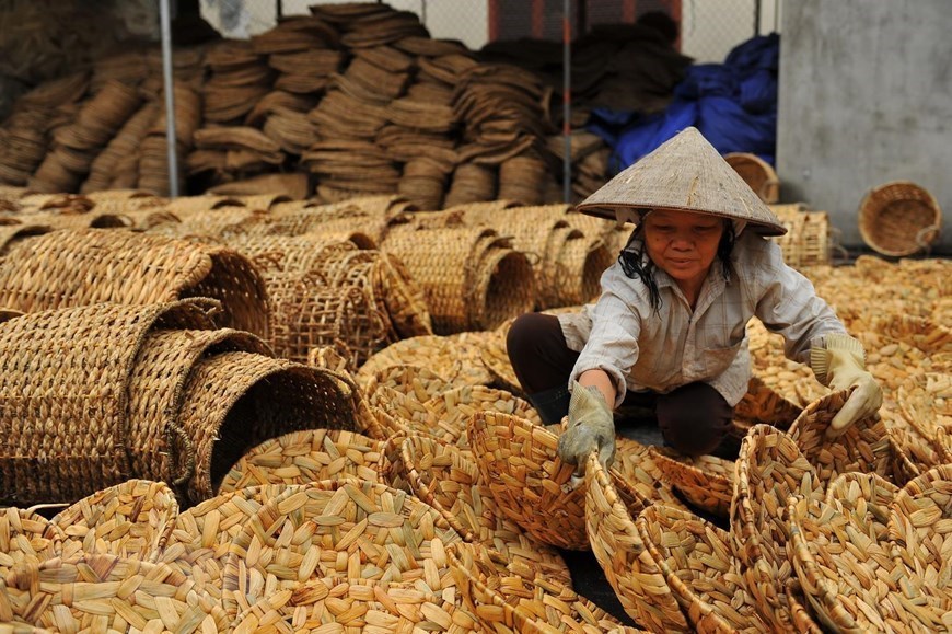 Aquatic plant creates unique handicraft items